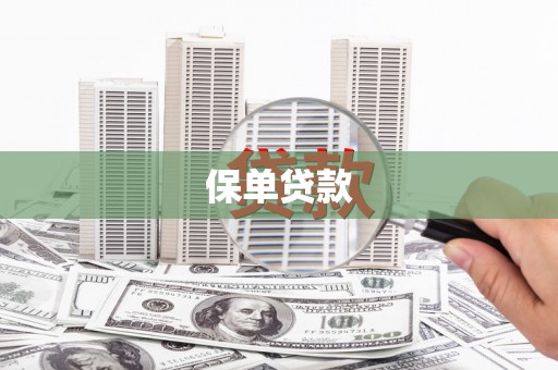 大宁保单贷款