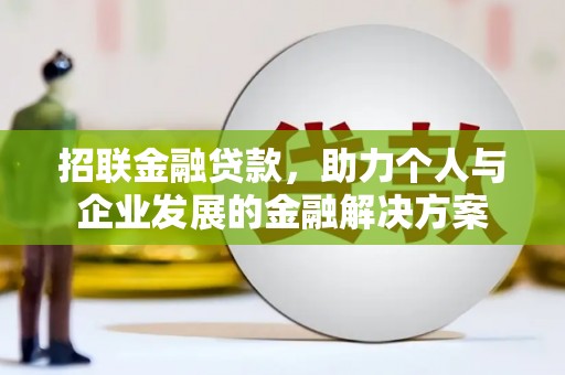 大宁招联金融贷款，助力个人与企业发展的金融解决方案