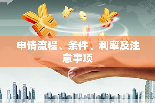 大宁申请流程、条件、利率及注意事项
