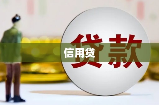 大宁信用贷