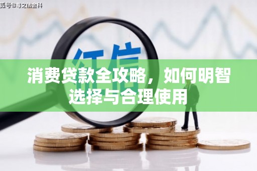 大宁消费贷款全攻略，如何明智选择与合理使用
