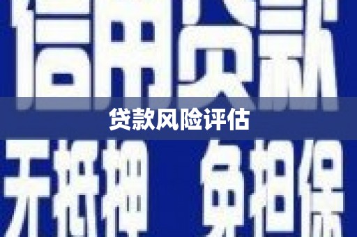 大宁贷款风险评估