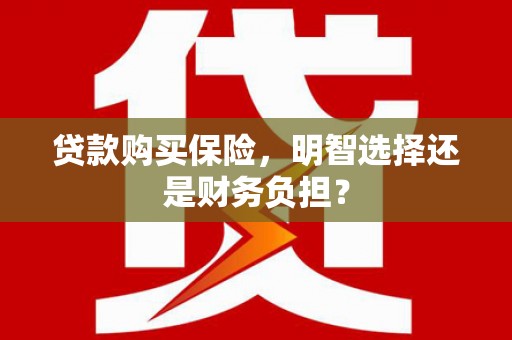 大宁贷款购买保险，明智选择还是财务负担？