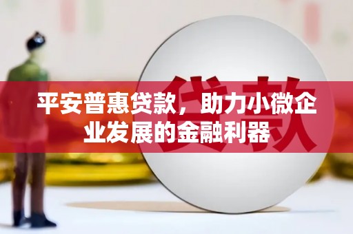 大宁平安普惠贷款，助力小微企业发展的金融利器