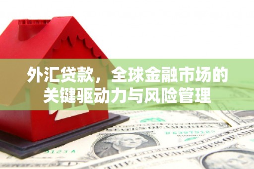 大宁外汇贷款，全球金融市场的关键驱动力与风险管理