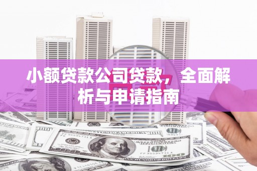 大宁小额贷款公司贷款，全面解析与申请指南