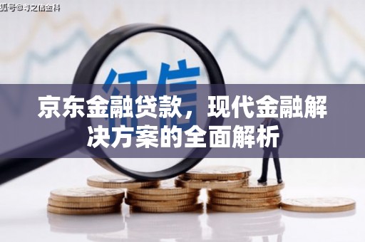 大宁京东金融贷款，现代金融解决方案的全面解析