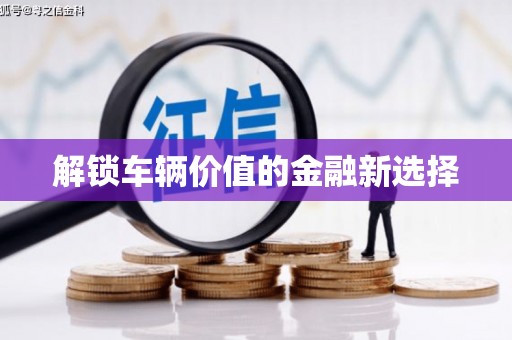 大宁解锁车辆价值的金融新选择