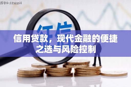 大宁信用贷款，现代金融的便捷之选与风险控制