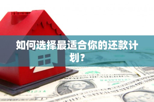 大宁如何选择最适合你的还款计划？
