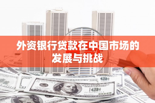 大宁外资银行贷款在中国市场的发展与挑战