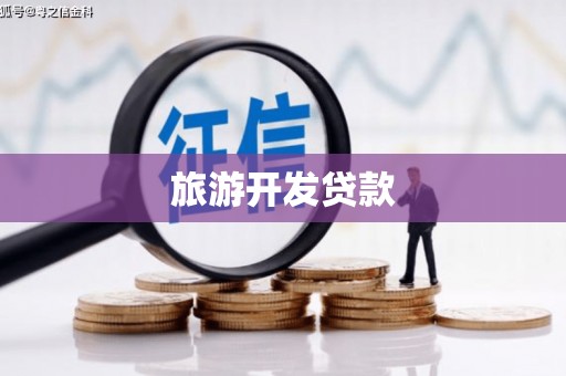 大宁旅游开发贷款