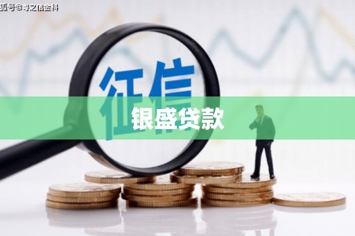 大宁银盛贷款