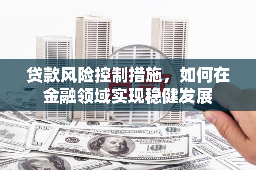 大宁贷款风险控制措施，如何在金融领域实现稳健发展