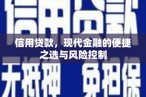大宁信用贷款，现代金融的便捷之选与风险控制