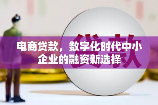 大宁电商贷款，数字化时代中小企业的融资新选择