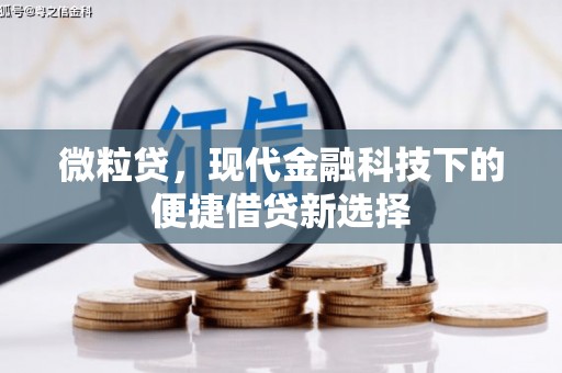 大宁微粒贷，现代金融科技下的便捷借贷新选择