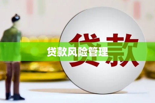 大宁贷款风险管理