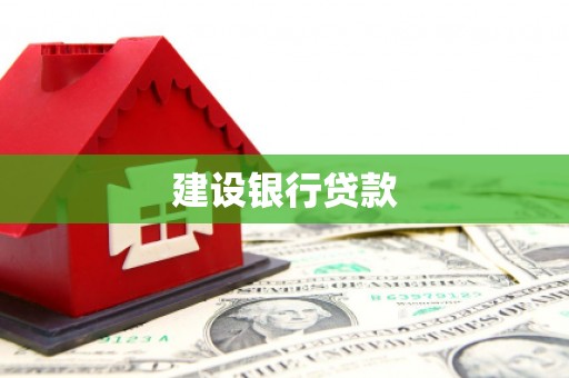大宁建设银行贷款