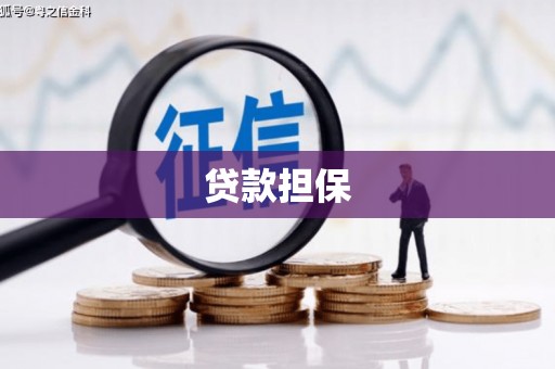 大宁贷款担保