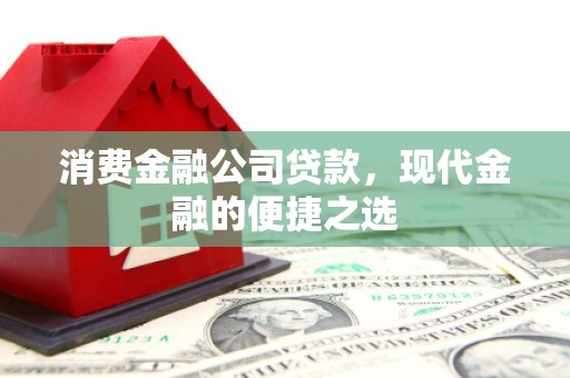 大宁消费金融公司贷款，现代金融的便捷之选