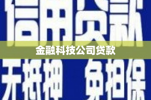 大宁金融科技公司贷款