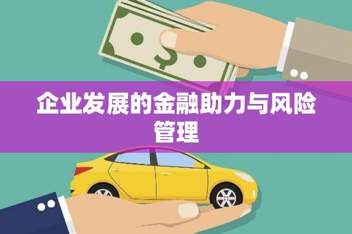大宁企业发展的金融助力与风险管理