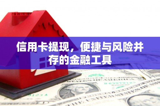 大宁信用卡提现，便捷与风险并存的金融工具