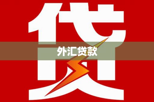 大宁外汇贷款