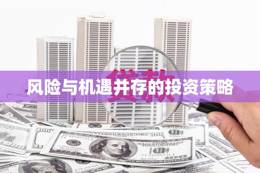 大宁风险与机遇并存的投资策略