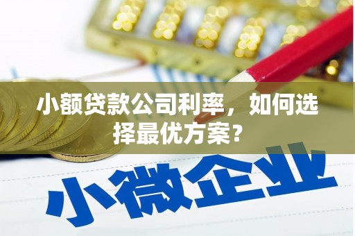 大宁小额贷款公司利率，如何选择最优方案？