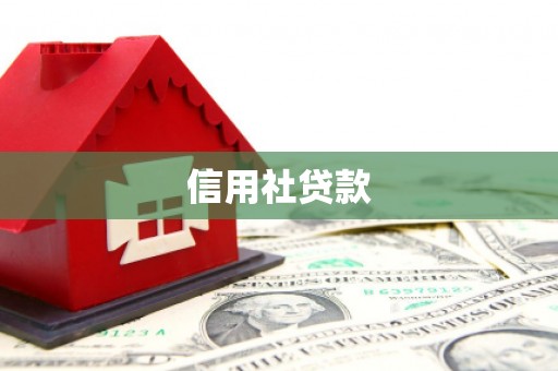 大宁信用社贷款