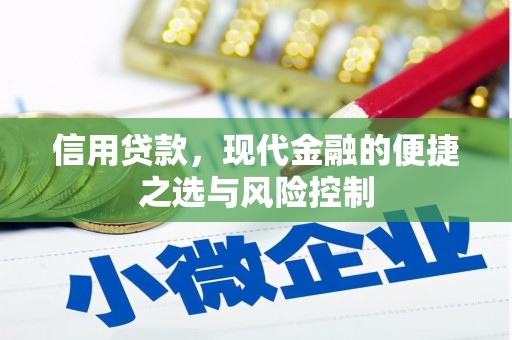 大宁信用贷款，现代金融的便捷之选与风险控制