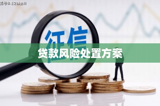 大宁贷款风险处置方案