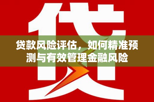 大宁贷款风险评估，如何精准预测与有效管理金融风险