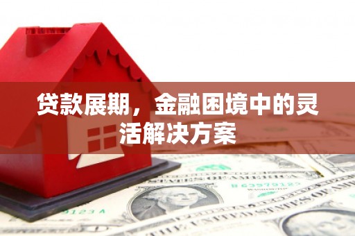 大宁贷款展期，金融困境中的灵活解决方案