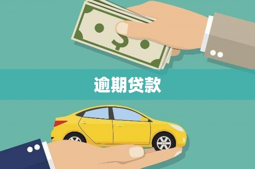 大宁逾期贷款