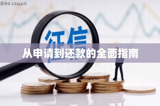 大宁从申请到还款的全面指南