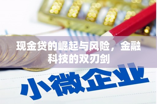 大宁现金贷的崛起与风险，金融科技的双刃剑