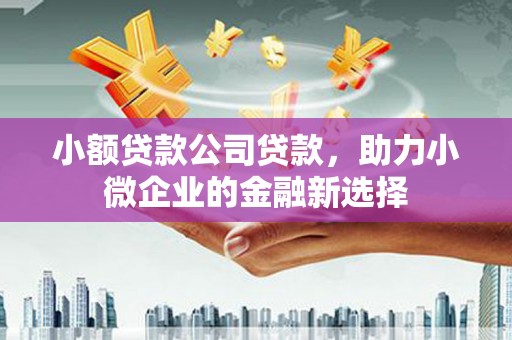 大宁小额贷款公司贷款，助力小微企业的金融新选择