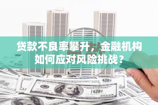 大宁贷款不良率攀升，金融机构如何应对风险挑战？