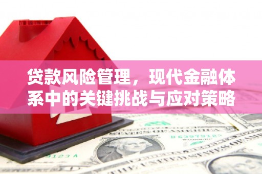 大宁贷款风险管理，现代金融体系中的关键挑战与应对策略
