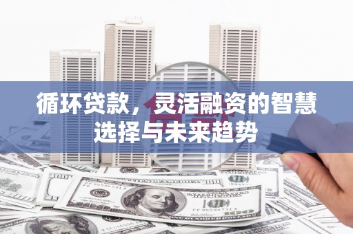 大宁循环贷款，灵活融资的智慧选择与未来趋势