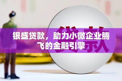 大宁银盛贷款，助力小微企业腾飞的金融引擎