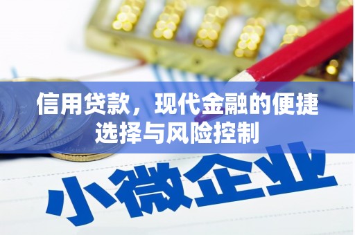 大宁信用贷款，现代金融的便捷选择与风险控制