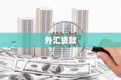 大宁外汇贷款