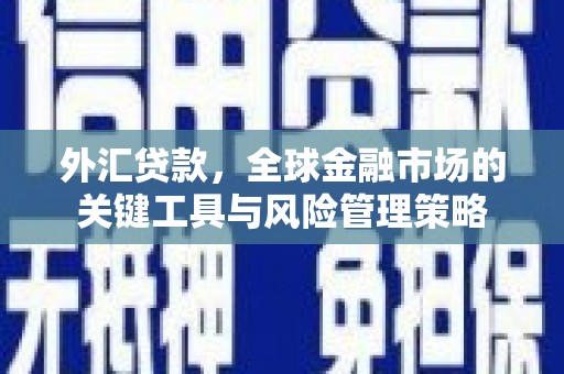 大宁外汇贷款，全球金融市场的关键工具与风险管理策略