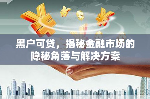 大宁黑户可贷，揭秘金融市场的隐秘角落与解决方案