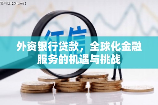 大宁外资银行贷款，全球化金融服务的机遇与挑战