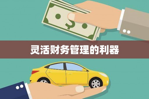 大宁灵活财务管理的利器